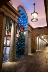 Walking on streets of Central London in Covent Garden decorated with Christmas lighting and green Christmas trees with garlands, December holidays in England