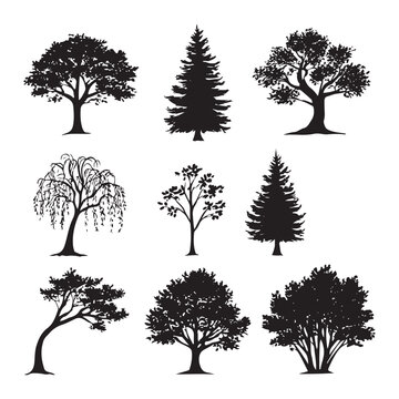 different tree vector