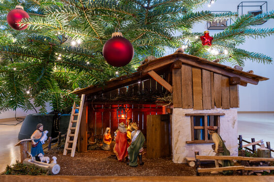 Christmas nativity scene under tree with ornaments