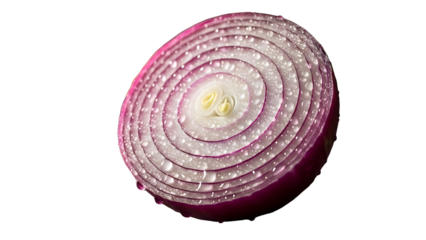 Close up of a sliced red onion with water droplets on a  in studio shot