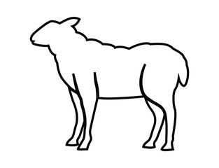 A simple black and white line drawing of a sheep standing in profile on a white background 