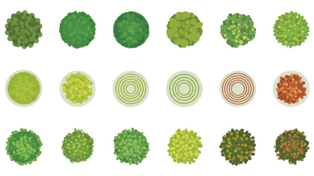 Set of various tree top view symbols for landscape and cad architectural drawing design plans
