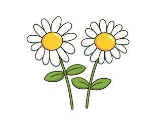 Daisy flower icon, flowers retro design