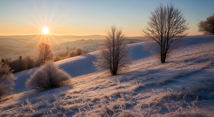 A peaceful frosty hillside at dawn