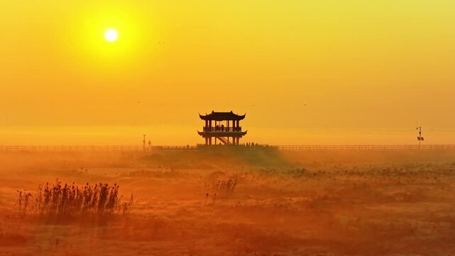 Sunrise over Poyang Lake wetlands, flocks of migratory birds, geese, and white storks