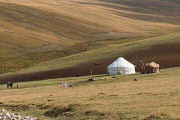 Yurt traditional dwelling of herders in Moldo Too, mountain range in the Inner Tian Shan. Naryn region. Kyrgyzstan. Asia. 