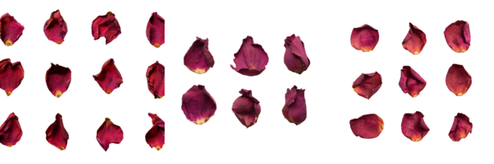 Falling rose petals nature photography transparent background romantic atmosphere