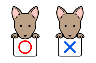 マルバツ、正解・不正解の札を持つ犬