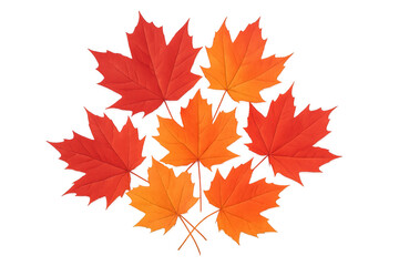 Bright orange and red maple leaves scattered, representing the beautiful colors of autumn and the changing season