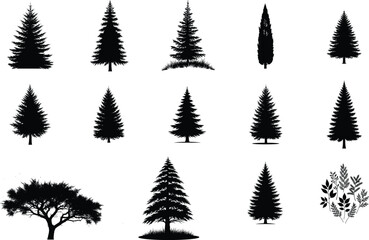 Fototapeta premium Evergreen vector design with cmyk colors helvetica and courier fonts
