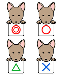 マルバツ、正解・不正解の札を持つ犬