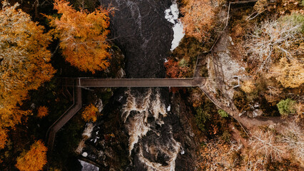 autumn leaves on the rocks