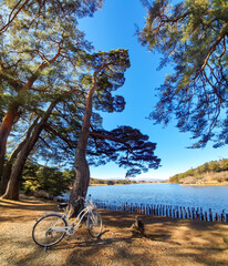 Fototapete bei efototapeten.de bestellen   