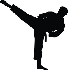 Black silhouette of a martial artist performing a high kick