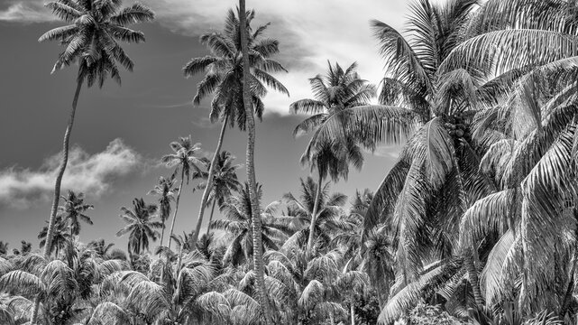 Amazing landscape of La Digue Island, Seychelles, Africa