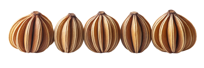 Light brown beads with vertical striations on transparent background