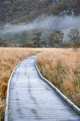 Frosty wooden path on a winter morning in the Borrowdale Valley near Keswick, Lake District, UK.