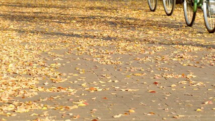 晩秋の情景：落ち葉の歩道と通り過ぎる人々の足元