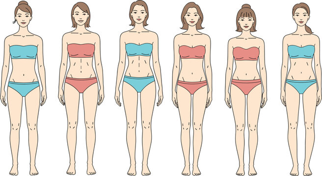 Vector Diagram illustrating Various Female Body Shapes and Different Types of Figures