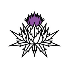 Obraz premium Simple Scottish Thistle with Purple Bloom Illustration