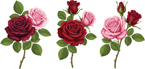 Naklejka premium Realistic vector illustration of red and pink rose stems with detailed petals and leaves, perfect for romantic, floral, and decorative designs.