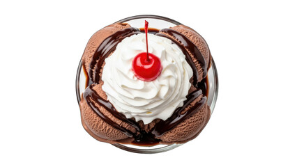 Chocolate Ice Cream Sundae with Whipped Cream and Cherry