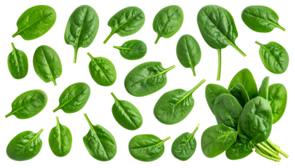 Assortment of fresh, vibrant green leafy vegetables against a stark black background