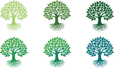 Vector Collection of Green Trees with Detailed Roots and Different Leaf Shading Textures