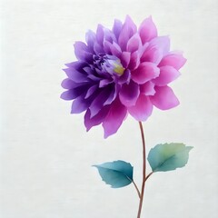 purple chrysanthemum flower