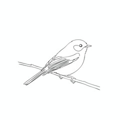 Line Art Bird Perched on Branch