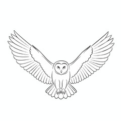 Flying Owl Line Art Illustration