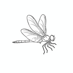 Black and White Dragonfly Line Art Illustration
