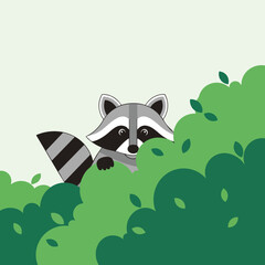 Cartoon Raccoon Peeking from Green Foliage