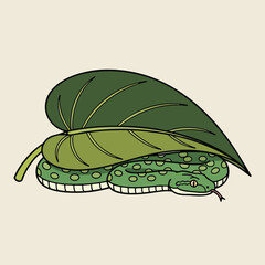Cartoon snake hiding under a leaf