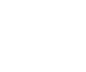 Snow flakes in png file