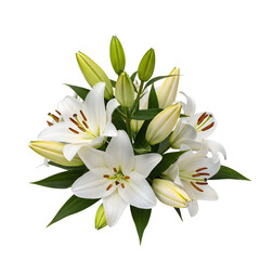 Obraz premium White lily bouquet isolated on transparent background
