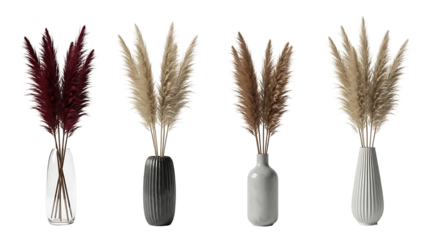 A collection of vases with colorful pampas grass, a trendy dried indoor plant for minimalist and bohemian home decoration, isolated on a white background