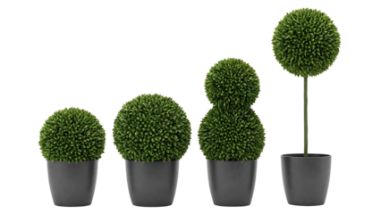 The evolution of an indoor plant in four stages, symbolizing business growth, investment return, and financial progress