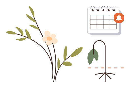Branch with blossoms beside withered plant and calendar notification. Ideal for sustainability, natural cycles, time management, ecology, deadlines, mindfulness, and renewal. Simple flat metaphor