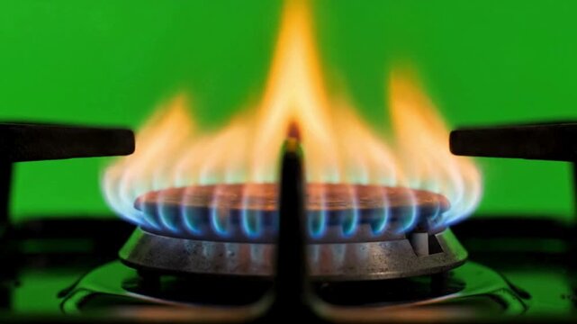Dynamic gas stove flames burning on a green screen reveal energy efficiency for cooking and heating needs in a sustainable kitchen.