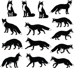 Fox silhouette collection diverse poses and perspectives on white