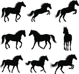 Horse silhouettes collection in various poses on white background