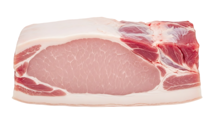 Detailed floral arrangement line art illustration isolated on transparent background