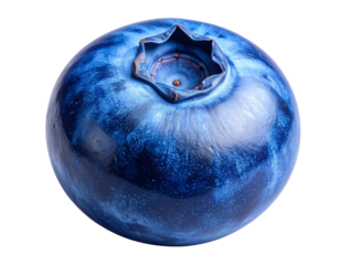 A single ripe blueberry captured in close-up detail, smooth deep blue skin with lightoom texture, calyx star pattern visible on top, clean sharp edges, isolated on a transparent PNG background.