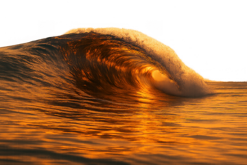 Golden ocean wave crashing, sun reflecting on water showing power and movement, transparent background