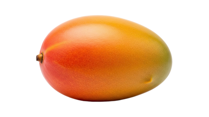 Single mango fruit, smooth skin showing gradients of red, yellow, and orange