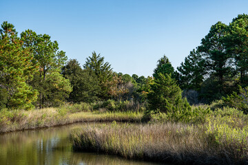 Landscape with Lake