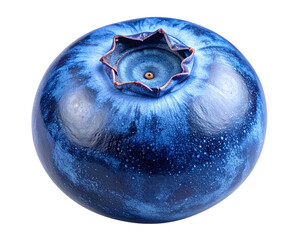 A single ripe blueberry captured in close-up detail, smooth deep blue skin with light pm texture, calyx star pattern visible on top, clean sharp edges, isolated on a transparent PNG background.