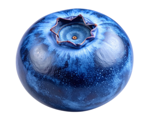 A single ripe blueberry captured in close-up detail, smooth deep blue skin with light pm texture, calyx star pattern visible on top, clean sharp edges, isolated on a transparent PNG background.