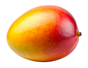 A single ripe mango viewed straight on, smooth yellow-orange skin with subtle gradient and texture, soft natural highlights, clean silhouette, isolated on a transparent PNG background.